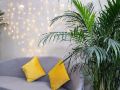 yanruo-aesthetics-apartment-quanzhou-zhongjun-plaza