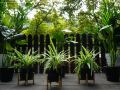 puzzle-hotel-guangzhou-tianhe-passenger-station-subway-station-store
