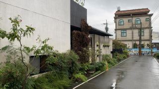 greenhouse-homestay