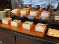 via-inn-okayama-jr-west-group