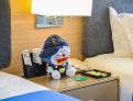 room overview picture