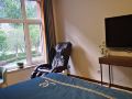 qiaoyuan-homestay