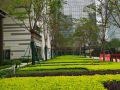 shenzhen-shuian-xiaoju