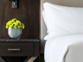the-ritz-carlton-boston