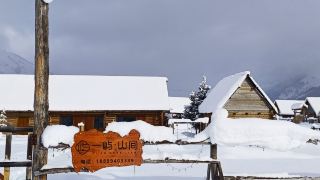 tongmu-yiyu-shanjian-bandb