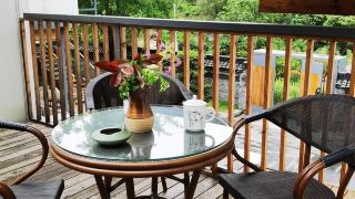 blossoming-on-the-path-homestay-foping