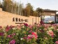 yongheng-holiday-villa