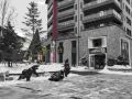 xueren-nuandeng-apartment