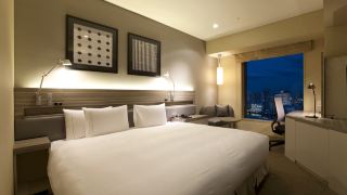 the-royal-park-hotel-iconic-tokyo-shiodome