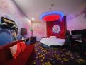 room overview picture