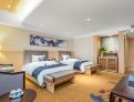 room overview picture