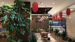 peafowl-hotel