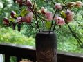 dujiangyan-qingcheng-back-hill-liaoyuan-bandb