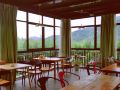 moganshan-yuntu-garden-homestay