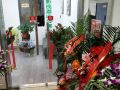 yunshan-yingshi-apartment