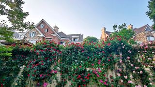 jinshi-haishu-guanhai-homestay-dalian-jinshitan-discover-kingdom-shop