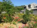 jingmi-gutai-farmhouse