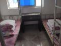 shunxin-youth-hostel-luohu