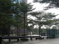 yilinchengshi-city-rentals