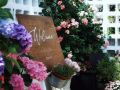 smile-s-garden