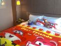 room overview picture