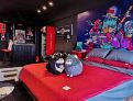 room overview picture