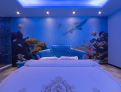 room overview picture