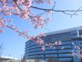 hotel-trusty-premier-kumamoto
