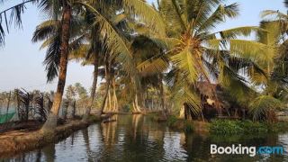 munroe-coconut-homestay