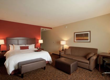 Hampton Inn & Suites McAllen