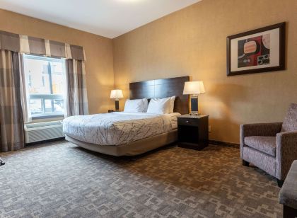 Best Western Plus South Edmonton Inn Suites