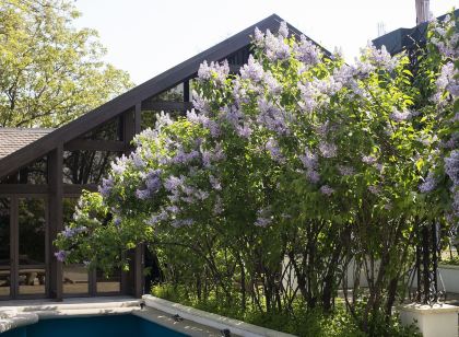 Hotel Bellaria