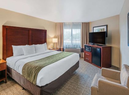 Comfort Inn University