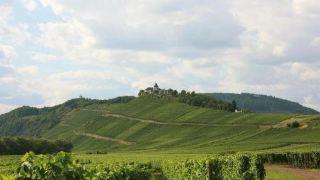 mosel-ferienhaus-vogt
