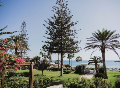 Nissi Beach Resort