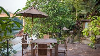 tree-tara-resort