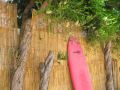 ericeira-chill-hill-hostel-and-private-rooms