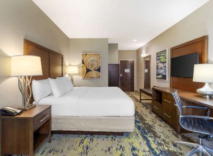 Comfort Inn & Suites Valdosta