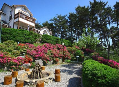 Petit Maison Pension