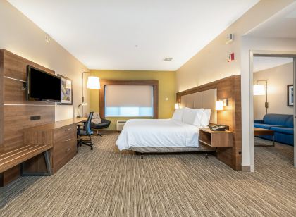 Holiday Inn Express & Suites Fremont - Milpitas Central