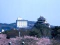 okayama-international-hotel
