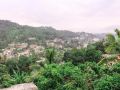 nature-view-lodge