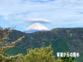trip7-hakone-sengokuhara-onsen-hotel