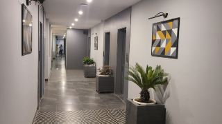 ivy-suites