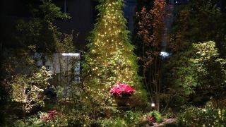 hotel-trad-hakata