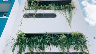 the-avis-apartments