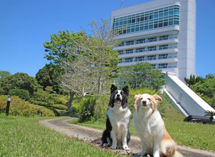 南紀白浜わんわんパラダイス