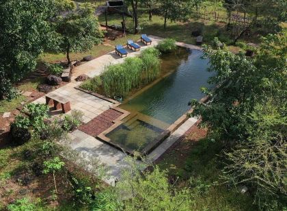 Dudhsagar Plantation
