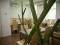 hotel-comercio