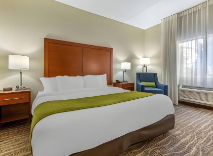 Comfort Inn & Suites Phoenix North - Deer Valley